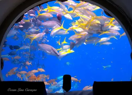 ocean-lens-1.jpeg